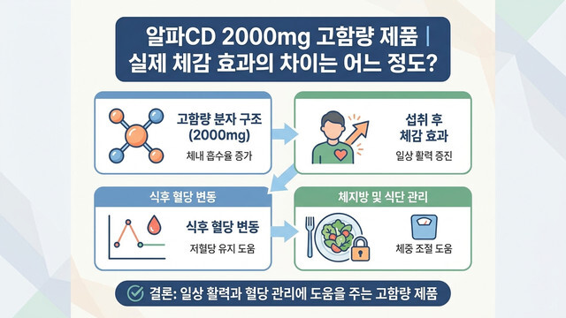 알파CD 2000mg 고함량 섭취 시 나타나는 실제 체감 변화와 혈당·지방 차단원리 총정리