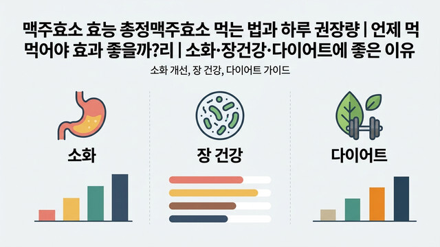 맥주효소 효능과 올바른 복용법 총정리: 소화·장건강·다이어트 효과 극대화 노하우