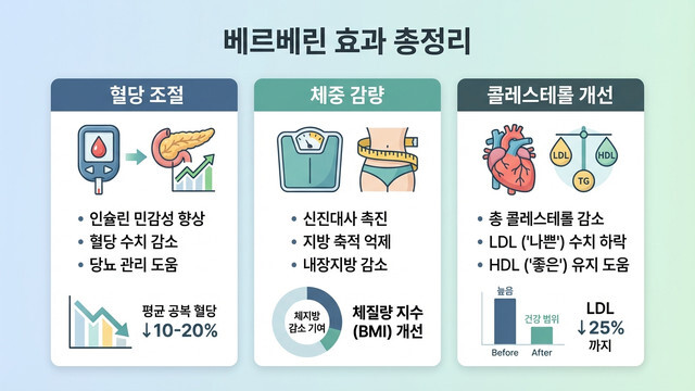 천연 인슐린 베르베린 효능 및 부작용 총정리: 혈당·다이어트·콜레스테롤 개선법