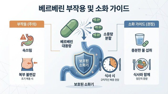 베르베린 부작용 극복법: 설사·위장장애 없이 혈당 잡는 안전 섭취 가이드