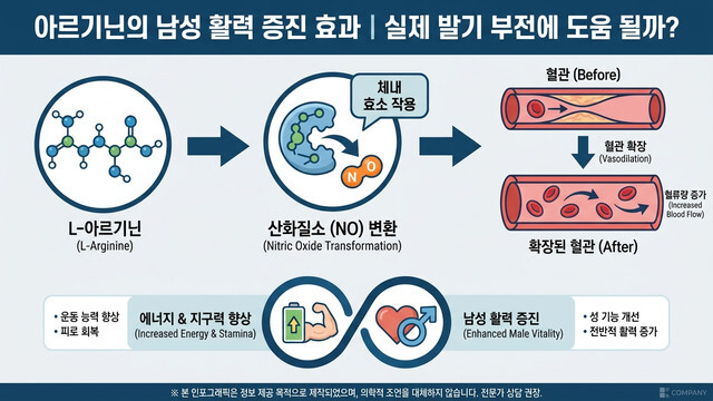 아르기닌 발기부전 개선에 진실은? 남성 활력과 혈류 증가의 모든 것