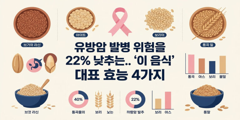 유방암 발병률 22% 줄이는 통곡물 식단! 꼭 알아야 할 4가지 항암 효능과 실천법